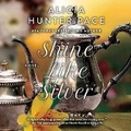 Cover: Shine Like Silver - DREAMSCAPE MEDIA