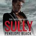 Cover: Sully - DREAMSCAPE MEDIA