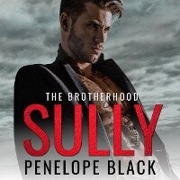 Enlarge image Cover: Sully - DREAMSCAPE MEDIA