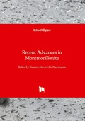 Cover: Recent Advances in Montmorillonite - IntechOpen