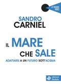 Cover: Il mare che sale - Edizioni Dedalo