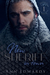 Abbildung von: New Sheriff in Town - Naughty Gnome Publishing