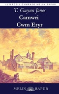 Cover: Camwri Cwm Eryr - Melin Bapur