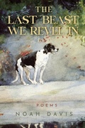 Cover: The Last Beast We Revel In - CavanKerry Press