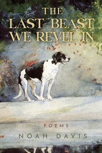 Enlarge image Cover: The Last Beast We Revel In - CavanKerry Press