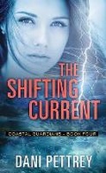 Cover: The Shifting Current - Center Point
