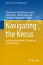 Cover: Navigating the Nexus - Springer