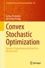 Cover: Convex Stochastic Optimization - Springer