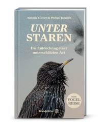 Abbildung von: Unter Staren - Brandstätter Verlag