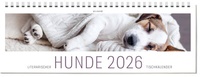 Abbildung von: Tischkalender Hunde 2026 - ars vivendi