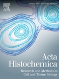 Bild: Acta Histochemica - Urban & Fischer