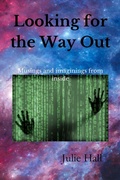 Cover: Looking for the Way Out - Julie Hall
