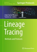 Bild: Lineage Tracing - Humana