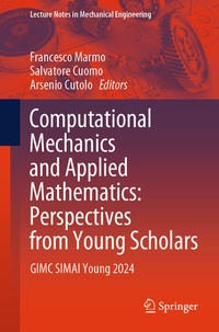Abbildung von: Computational Mechanics and Applied Mathematics: Perspectives from Young Scholars - Springer