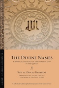 Cover: The Divine Names - New York University Press