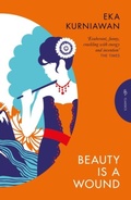 Cover: Beauty is a Wound - Pushkin Press Classics