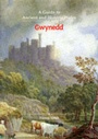 Cover: A Gwynedd - Stationery Office Books