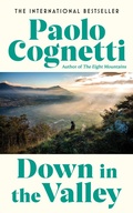 Cover: Down in the Valley - Harvill Secker