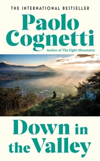 Enlarge image Cover: Down in the Valley - Harvill Secker