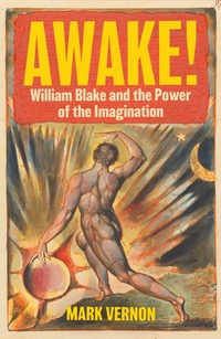 Enlarge image Cover: Awake! - C Hurst & Co Publishers Ltd