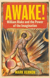 Enlarge image Cover: Awake! - C Hurst & Co Publishers Ltd