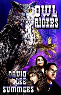 Enlarge image Cover: Owl Riders (The Clockwork Legion, #4) - David Lee Summers