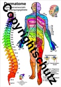 Cover: Dermatome der Spinalnerven - Aeckersberg, Ingrid