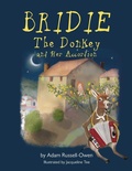 Cover: Bridie the Donkey and her Accordion - Grosvenor House Publishing Ltd