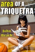 Cover: Area of a Triquetra (The Ventures of Cynthia Veil, #3) - John Beach