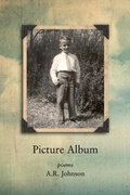 Cover: Picture Album - Grayson Books