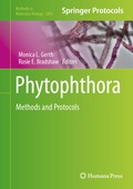Bild: Phytophthora - Humana