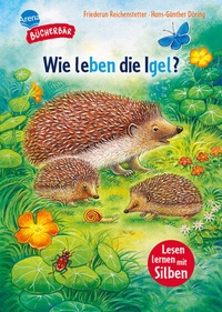 Abbildung von: Sachwissen für Erstleser. Wie leben die Igel? - Arena