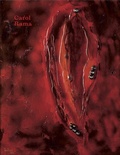 Cover: Carol Rama: Rebellin der Moderna / A Rebel of Modernity - K&ouml;nig, Walther