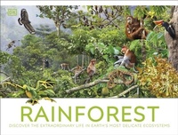 Abbildung von: Rainforest - DK Children