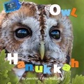 Cover: Owl Hanukkah - Safer Editions