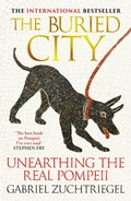 Cover: The Buried City - Hodder Press