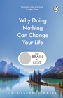 Cover: The Brain at Rest - Penguin (Transworld)