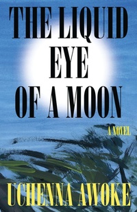 Abbildung von: The Liquid Eye of a Moon - Catapult