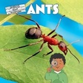Cover: Ants - Norwood House Press