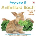 Cover: Pwy Ydw i? Anifeiliaid Bach / Who Am I? Baby Animals - Rily Publications Ltd