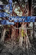 Cover: Life in No Ordinary Time - Poetry Box