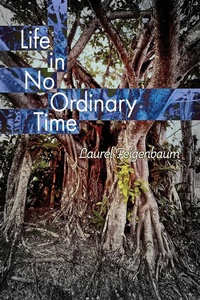 Enlarge image Cover: Life in No Ordinary Time - Poetry Box