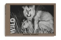 Cover: WILD - Edition Lammerhuber