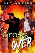 Cover: Cross Over (Honeymoon from Hell, #4) - Declan Finn