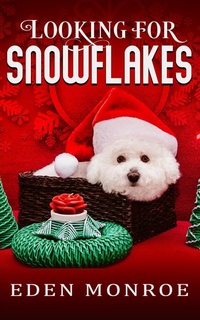 Enlarge image Cover: Looking For Snowflakes - Bwl Publishing Inc.
