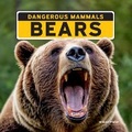 Cover: Bears - Norwood House Press