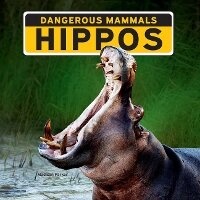 Enlarge image Cover: Hippos - Norwood House Press