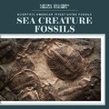 Cover: Sea Creature Fossils - Scientific American Educational Publishing