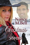 Cover: Christmas Storm - Bwl Publishing Inc.