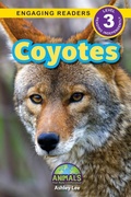 Cover: Coyotes - Engage Books